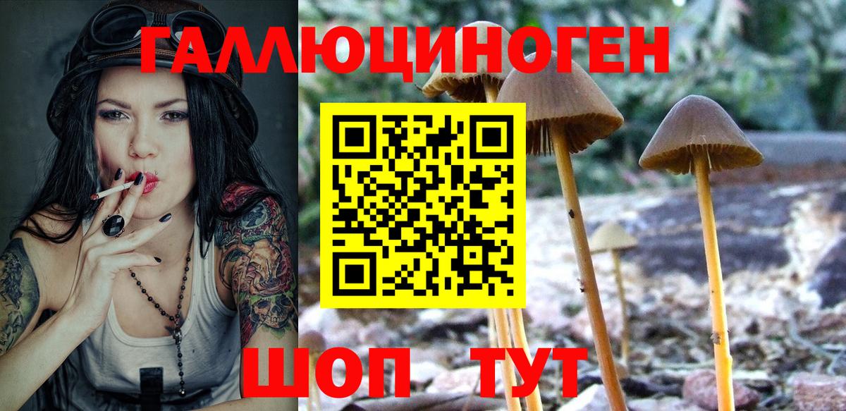 Псилоцибиновые грибы Cubensis  Галлюциногенные грибы прущие грибы  Заволжье  Вход с VPN 